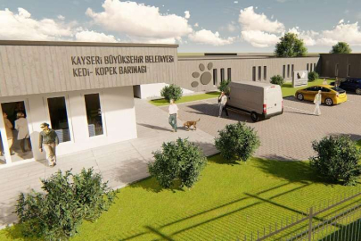 Türkiye'nin en modern hayvan barınağı Kayseri'ye yapılıyor 