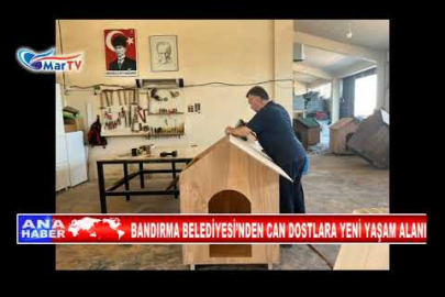 BANDIRMA BELEDİYESİ’NDEN CAN DOSTLARA YENİ YAŞAM ALANI