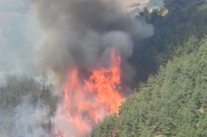 Bursa’da orman yangını güncel durum: Alevler yeniden şiddetlendi, çalışmalar sürüyor