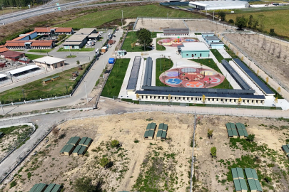 Sakarya’da sokak hayvanları için örnek çalışma