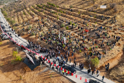 Malatya'da deprem şehitleri hatıra ormanı yenileniyor
