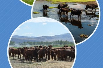 Halk elinde ıslaha 2,7 milyar TL destek