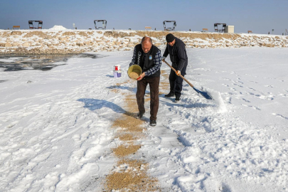 Van'da kuşlar için doğaya yem bırakıldı