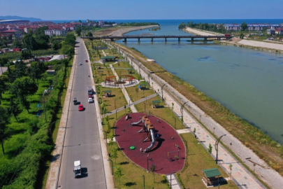 Ordu’da yeşil seferberlik: 7 yılda yüzde 254 artış