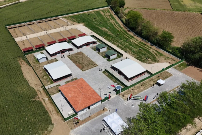 Güney Marmara'nın en modern hayvan bakımevi Bursa Yenişehir'de açıldı