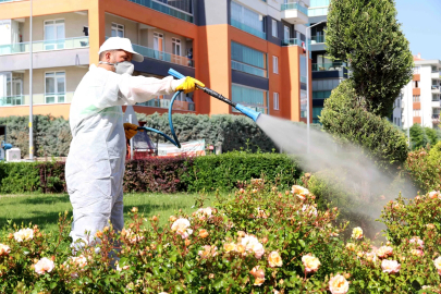 Konya Karatay'da ilaçlama çalışmaları sürüyor