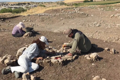 Çayönü Tepesi’nde 9 bin yıllık iz... Yeni işlik gün yüzüne çıkarıldı