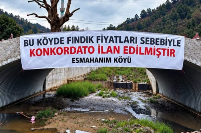 Düzce Akçakoca’da üreticinin fındık fiyatı tepkisi