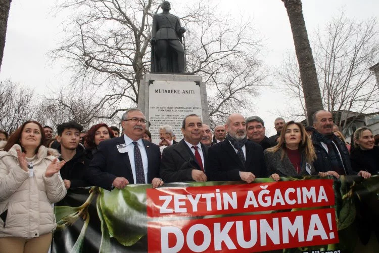 CHP Genel Başkan Yardımcısı Bursa'dan 'zeytin ağacıma dokunma' dedi