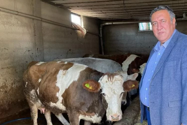 CHP'li Gürer süt üreticilerinin sesi oldu
