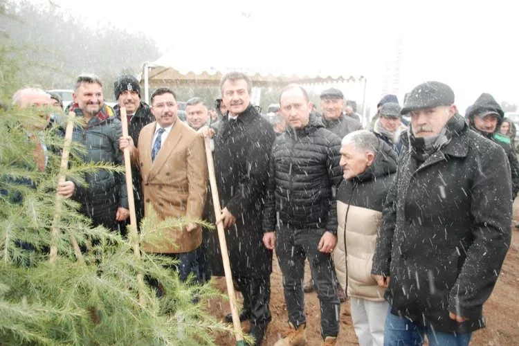 Paris Trabzonlular'dan 'Eren Bülbül' anısına Bursa'da hatıra ormanı