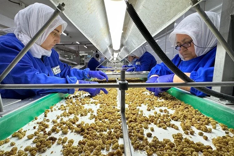 Türkiye organik ürün ihracatında 1 milyar dolar sınırını aştı